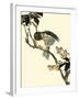 Oriental Bird on Branch V-Vision Studio-Framed Art Print