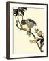 Oriental Bird on Branch V-Vision Studio-Framed Art Print