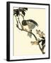 Oriental Bird on Branch V-Vision Studio-Framed Art Print