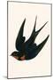 Oriental Chimney Swallow-English-Mounted Giclee Print