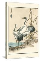 Oriental Crane II-Vision Studio-Stretched Canvas