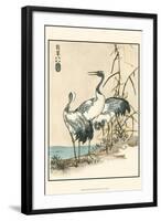 Oriental Crane II-Vision Studio-Framed Art Print