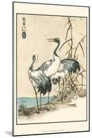 Oriental Crane II-Vision Studio-Mounted Art Print