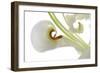 Oriental Lily _13571-Gordon Semmens-Framed Photographic Print