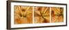 Oriental Lily Triptych-Anna Miller-Framed Photographic Print