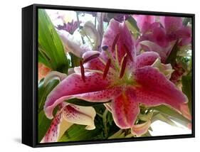 Oriental Lily-Ruth Palmer-Framed Stretched Canvas