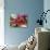 Oriental Lily-Ruth Palmer-Stretched Canvas displayed on a wall