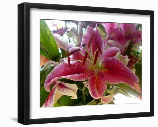 Oriental Lily-Ruth Palmer-Framed Art Print