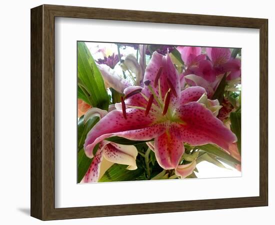 Oriental Lily-Ruth Palmer-Framed Art Print