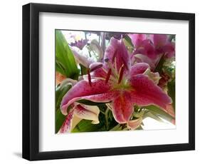 Oriental Lily-Ruth Palmer-Framed Art Print