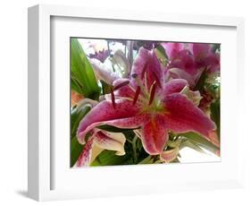 Oriental Lily-Ruth Palmer-Framed Art Print