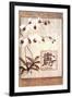 Oriental Long Life Floral-null-Framed Art Print