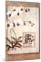 Oriental Long Life Floral-null-Mounted Art Print
