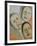 Oriental Masks-Carolyn Hubbard-Ford-Framed Giclee Print