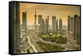 Oriental Pearl Tower and Lujiazui Skyline, Pudong, Shanghai, China-Jon Arnold-Framed Stretched Canvas