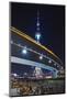 Oriental Pearl TV Tower and Footbridge at Night.-Jon Hicks-Mounted Photographic Print