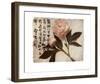 Oriental Peony-Julie Nightingale-Framed Art Print