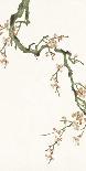 Noble Bamboo-Oriental School-Art Print