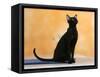 Oriental Shorthair Cat, Black Ebony-Petra Wegner-Framed Stretched Canvas