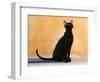 Oriental Shorthair Cat, Black Ebony-Petra Wegner-Framed Photographic Print