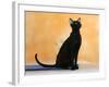 Oriental Shorthair Cat, Black Ebony-Petra Wegner-Framed Photographic Print