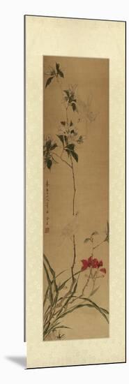 Oriental Silk II-null-Mounted Art Print