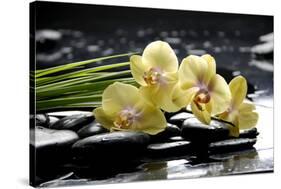 Oriental Spa with Orchid and Bottles with Essential Oil and Palm Leaf-crystalfoto-Stretched Canvas