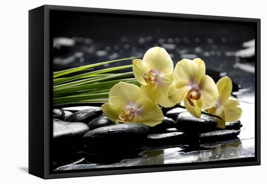 Oriental Spa with Orchid and Bottles with Essential Oil and Palm Leaf-crystalfoto-Framed Stretched Canvas