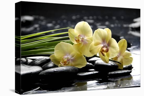 Oriental Spa with Orchid and Bottles with Essential Oil and Palm Leaf-crystalfoto-Stretched Canvas