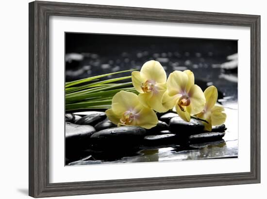 Oriental Spa with Orchid and Bottles with Essential Oil and Palm Leaf-crystalfoto-Framed Photographic Print