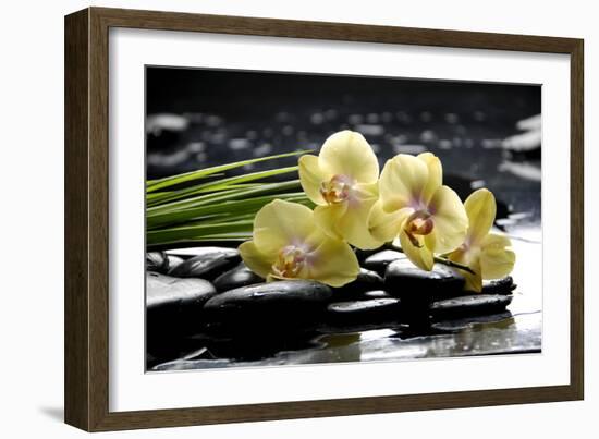 Oriental Spa with Orchid and Bottles with Essential Oil and Palm Leaf-crystalfoto-Framed Photographic Print