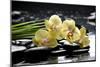 Oriental Spa with Orchid and Bottles with Essential Oil and Palm Leaf-crystalfoto-Mounted Photographic Print