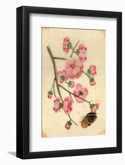 Oriental Style Depiction of Pink Cherry Blossom Showing the Branch Buds and Open Flowers-null-Framed Photographic Print