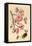 Oriental Style Depiction of Pink Cherry Blossom Showing the Branch Buds and Open Flowers-null-Framed Stretched Canvas