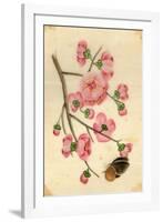 Oriental Style Depiction of Pink Cherry Blossom Showing the Branch Buds and Open Flowers-null-Framed Photographic Print