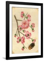 Oriental Style Depiction of Pink Cherry Blossom Showing the Branch Buds and Open Flowers-null-Framed Photographic Print