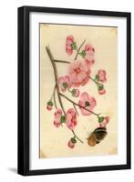 Oriental Style Depiction of Pink Cherry Blossom Showing the Branch Buds and Open Flowers-null-Framed Photographic Print