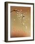 Oriental Style Painting, Plum Blossom-ori-artiste-Framed Art Print