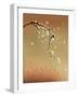 Oriental Style Painting, Plum Blossom-ori-artiste-Framed Art Print