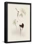 Oriental Style Painting, Red-Crowned Crane-null-Framed Poster