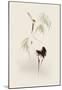 Oriental Style Painting, Red-Crowned Crane-null-Mounted Poster