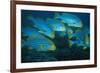 Oriental Sweetlip (Plectorhinchus orientalis) Group swimming, close-up, Vella Pass, Vadoo-Colin Marshall-Framed Photographic Print