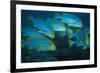 Oriental Sweetlip (Plectorhinchus orientalis) Group swimming, close-up, Vella Pass, Vadoo-Colin Marshall-Framed Photographic Print