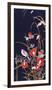 Oriental Wildflowers-Haruyo Morita-Framed Giclee Print