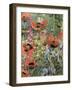 Orientals-Rosalie Bullock-Framed Giclee Print