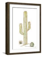 Origami Cactus-Nola James-Framed Art Print