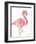 Origami Flamingo-Nola James-Framed Art Print