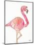 Origami Flamingo-Nola James-Mounted Art Print