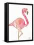 Origami Flamingo-Nola James-Framed Stretched Canvas