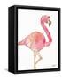 Origami Flamingo-Nola James-Framed Stretched Canvas